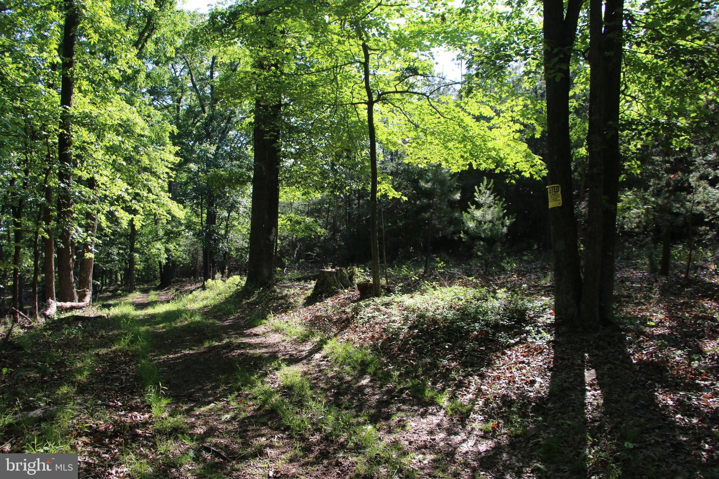 MOCKINGBIRD LOT 7 LN, WINCHESTER, Virginia 22603, ,Land,For sale,MOCKINGBIRD LOT 7 LN,VAFV2034380 MLS # VAFV2034380