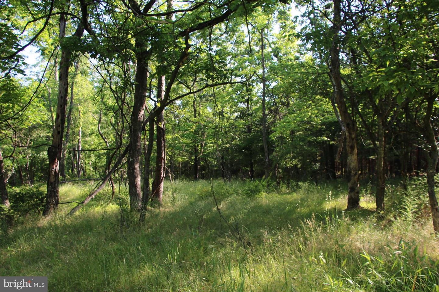 MOCKINGBIRD LOT 7 LN, WINCHESTER, Virginia 22603, ,Land,For sale,MOCKINGBIRD LOT 7 LN,VAFV2034380 MLS # VAFV2034380