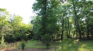 MOCKINGBIRD LOT 7 LN, WINCHESTER, Virginia 22603, ,Land,For sale,MOCKINGBIRD LOT 7 LN,VAFV2034380 MLS # VAFV2034380