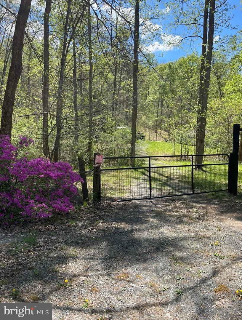 251 HAWK CIR, LOCUST DALE, Virginia 22948, ,Land,For sale,251 HAWK CIR,VAMA2002268 MLS # VAMA2002268
