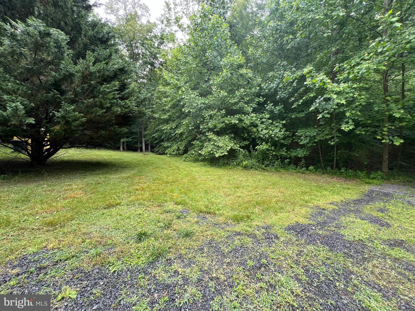 251 HAWK CIR, LOCUST DALE, Virginia 22948, ,Land,For sale,251 HAWK CIR,VAMA2002268 MLS # VAMA2002268