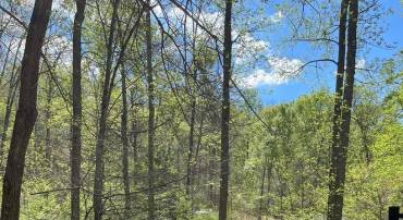 251 HAWK CIR, LOCUST DALE, Virginia 22948, ,Land,For sale,251 HAWK CIR,VAMA2002268 MLS # VAMA2002268