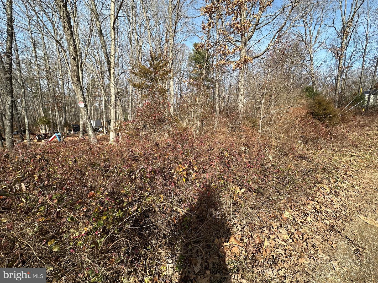 LOT C37 SHEILA LN, SHENANDOAH, Virginia 22849, ,Land,For sale,LOT C37 SHEILA LN,VAPA2004992 MLS # VAPA2004992