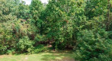 LOT C37 SHEILA LN, SHENANDOAH, Virginia 22849, ,Land,For sale,LOT C37 SHEILA LN,VAPA2004992 MLS # VAPA2004992