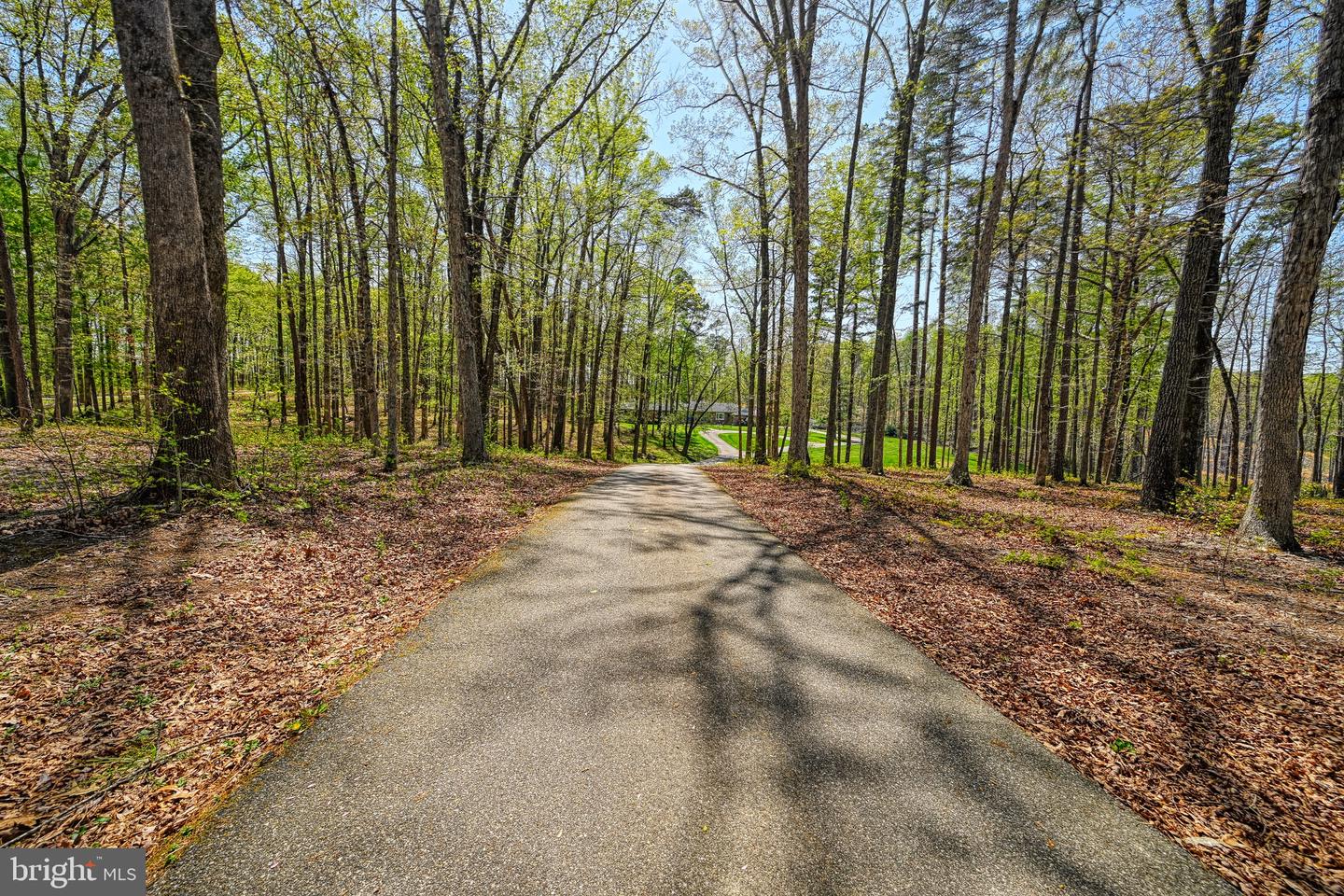 9549 FREDERICKS HALL RD, MINERAL, Virginia 23117, 4 Bedrooms Bedrooms, 12 Rooms Rooms,5 BathroomsBathrooms,Residential,For sale,9549 FREDERICKS HALL RD,VALA2007964 MLS # VALA2007964