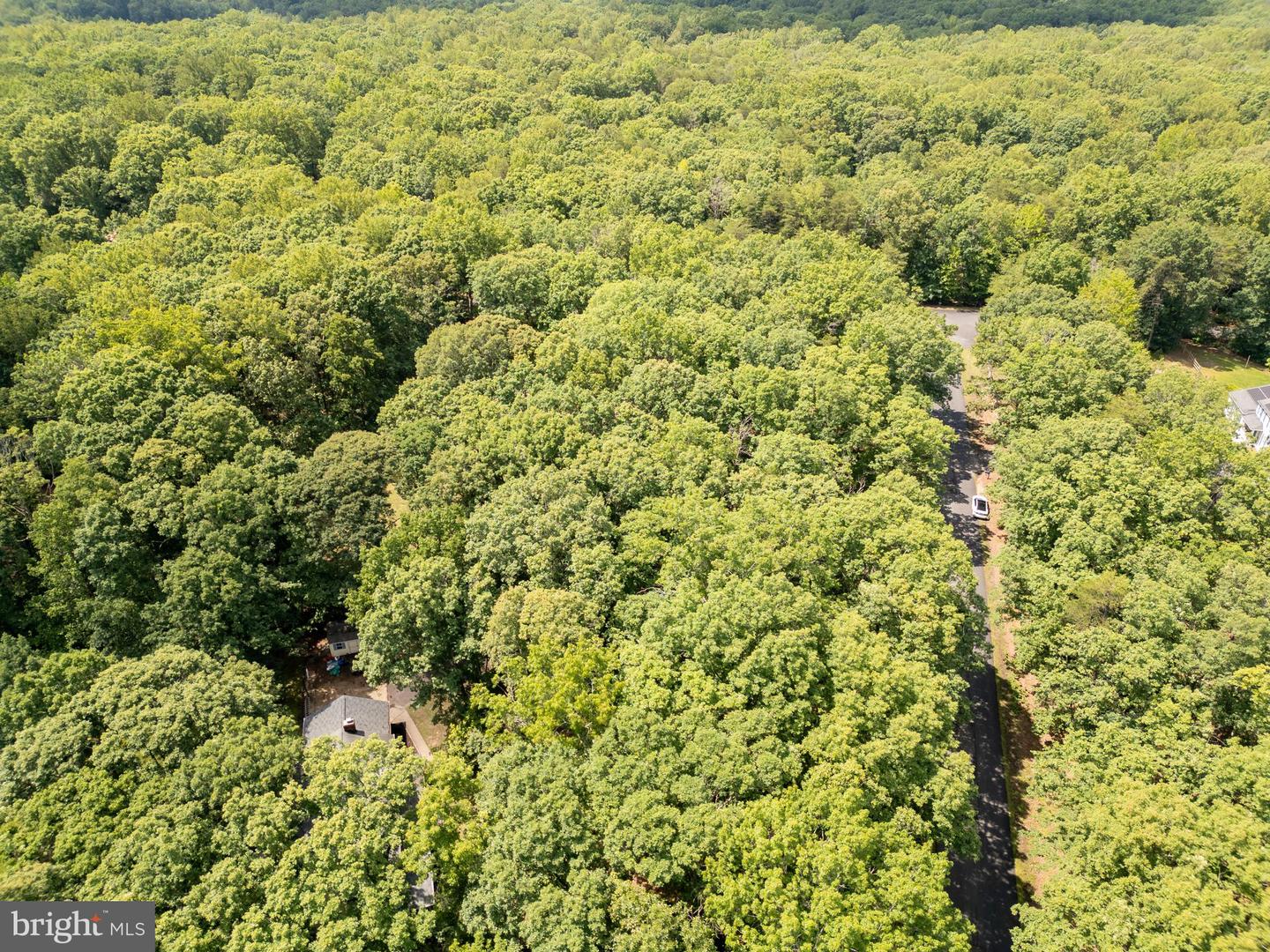 13403 MOTTS RUN RD, FREDERICKSBURG, Virginia 22407, 4 Bedrooms Bedrooms, ,2 BathroomsBathrooms,Residential,For sale,13403 MOTTS RUN RD,VASP2033274 MLS # VASP2033274