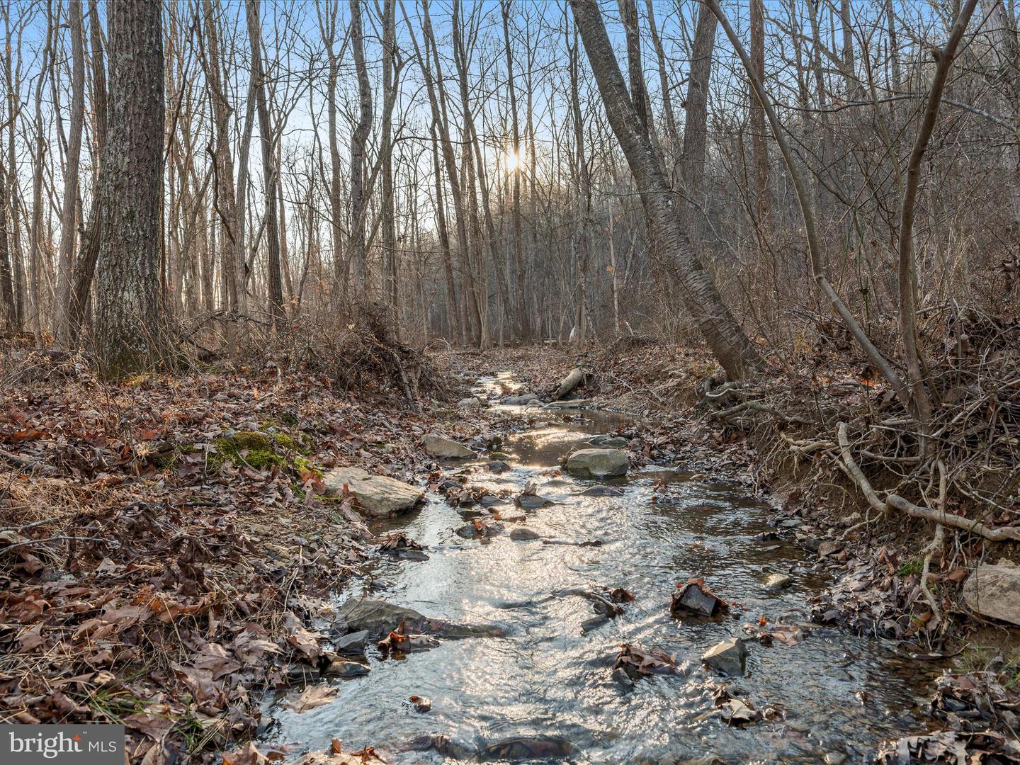 LOT 1 BACK CREEK RD, GORE, Virginia 22637, 3 Bedrooms Bedrooms, ,2 BathroomsBathrooms,Residential,For sale,LOT 1 BACK CREEK RD,VAFV2034510 MLS # VAFV2034510