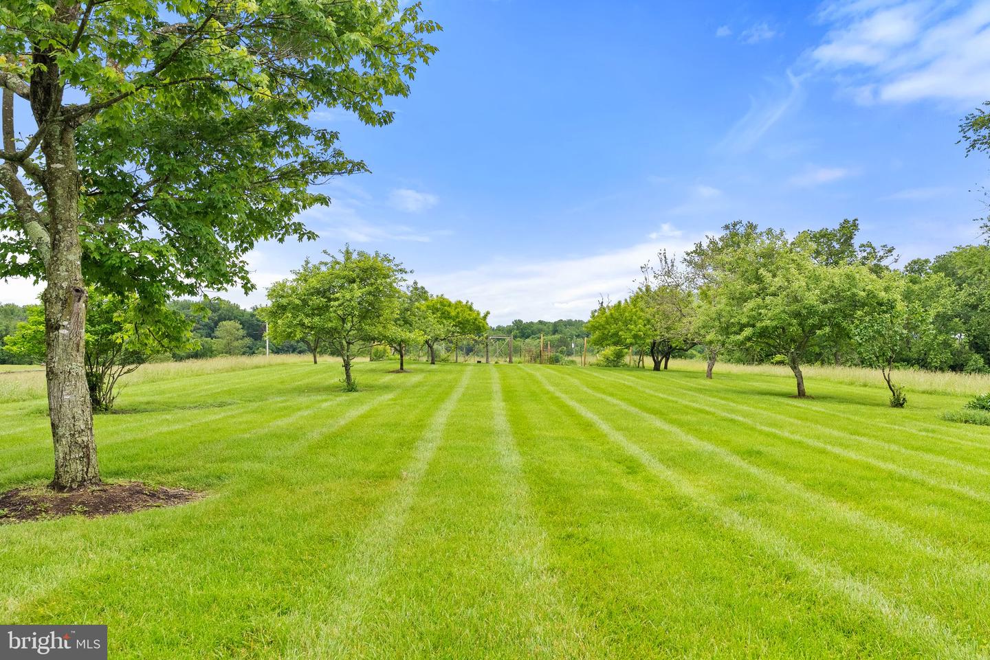 22693 ST LOUIS RD, MIDDLEBURG, Virginia 20117, 3 Bedrooms Bedrooms, ,3 BathroomsBathrooms,Residential,For sale,22693 ST LOUIS RD,VALO2098200 MLS # VALO2098200
