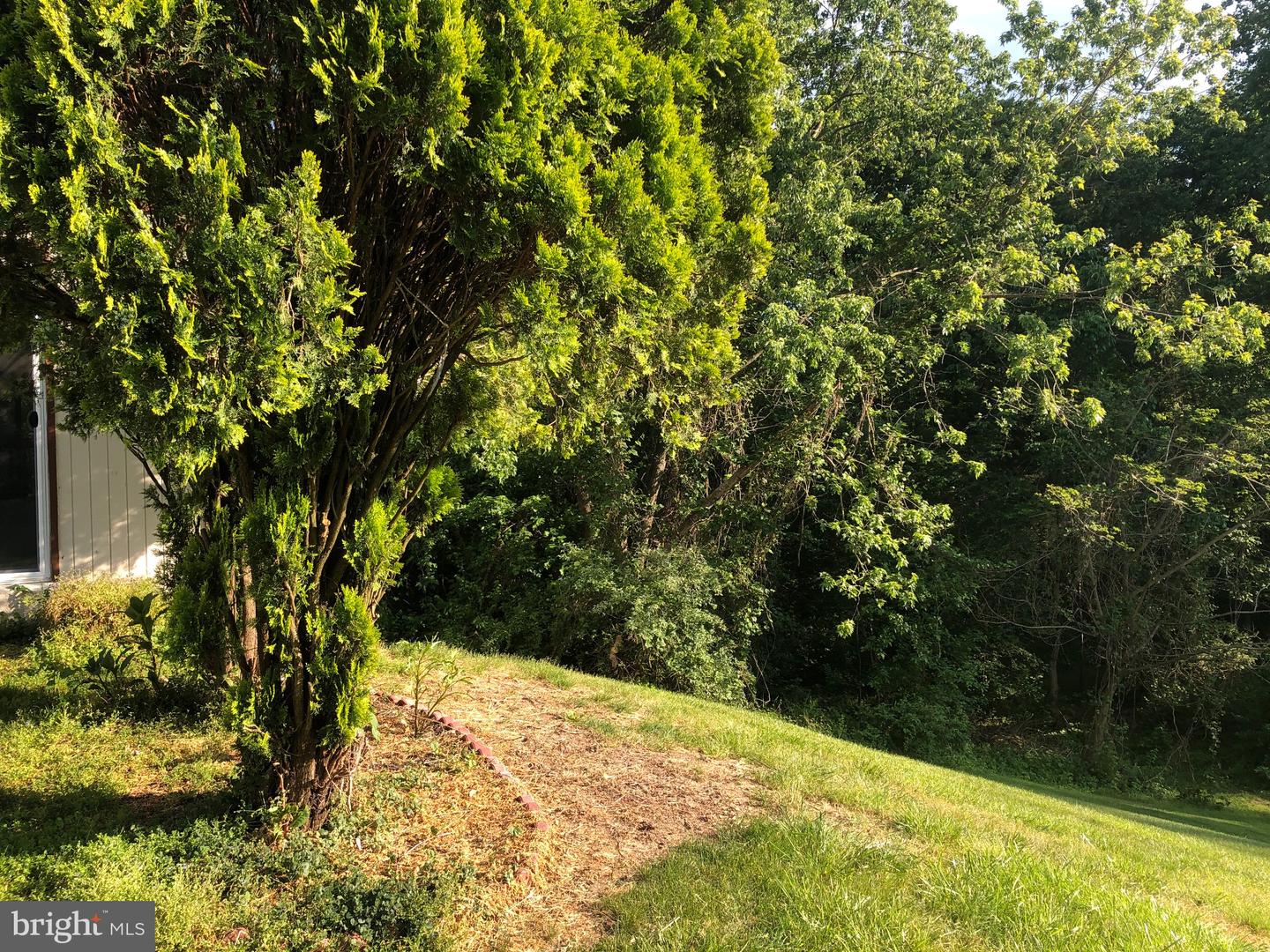 BEARFOOT LN LOT133-(2)-L2-5083-5889 BEARFOOT LN #5, ELKTON, Virginia 22827, ,Land,For sale,BEARFOOT LN LOT133-(2)-L2-5083-5889 BEARFOOT LN #5,VARO2001386 MLS # VARO2001386