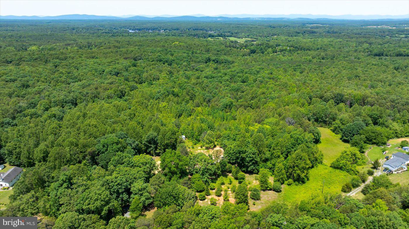 PEACH GROVE ROAD, LOUISA, Virginia 23093, ,Land,For sale,PEACH GROVE ROAD,VALA2007974 MLS # VALA2007974