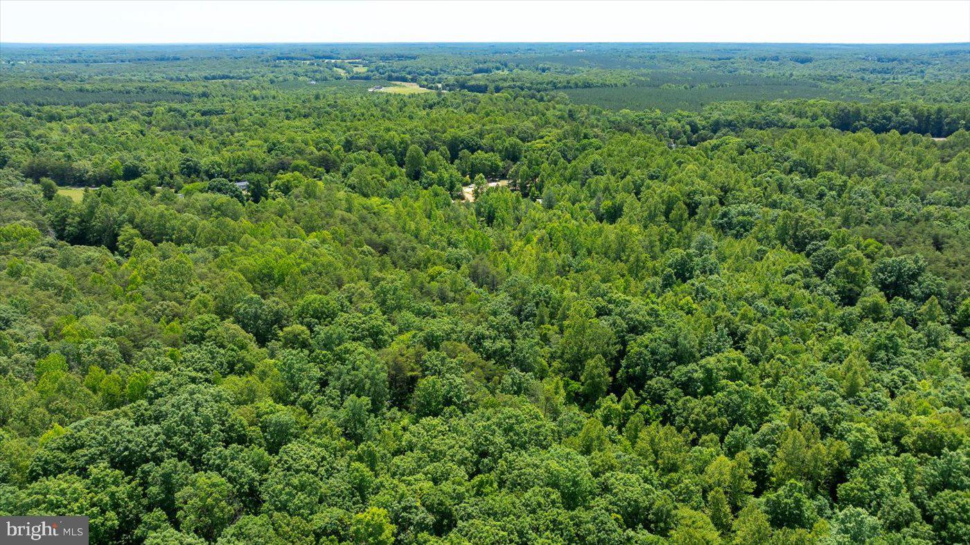 PEACH GROVE ROAD, LOUISA, Virginia 23093, ,Land,For sale,PEACH GROVE ROAD,VALA2007974 MLS # VALA2007974