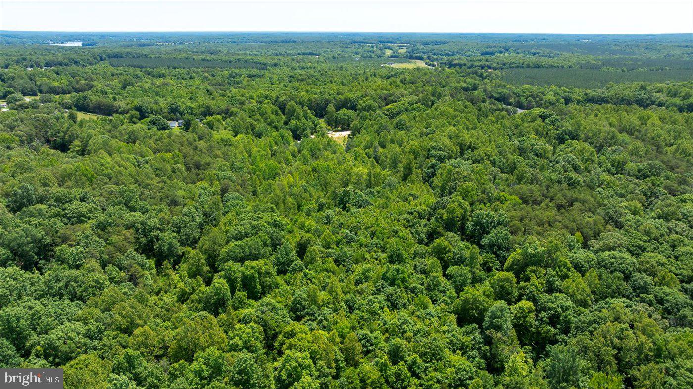 PEACH GROVE ROAD, LOUISA, Virginia 23093, ,Land,For sale,PEACH GROVE ROAD,VALA2007974 MLS # VALA2007974
