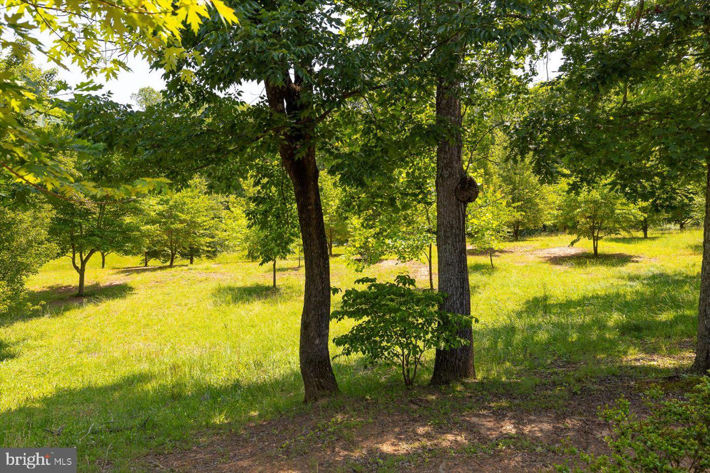 PEACH GROVE ROAD, LOUISA, Virginia 23093, ,Land,For sale,PEACH GROVE ROAD,VALA2007974 MLS # VALA2007974