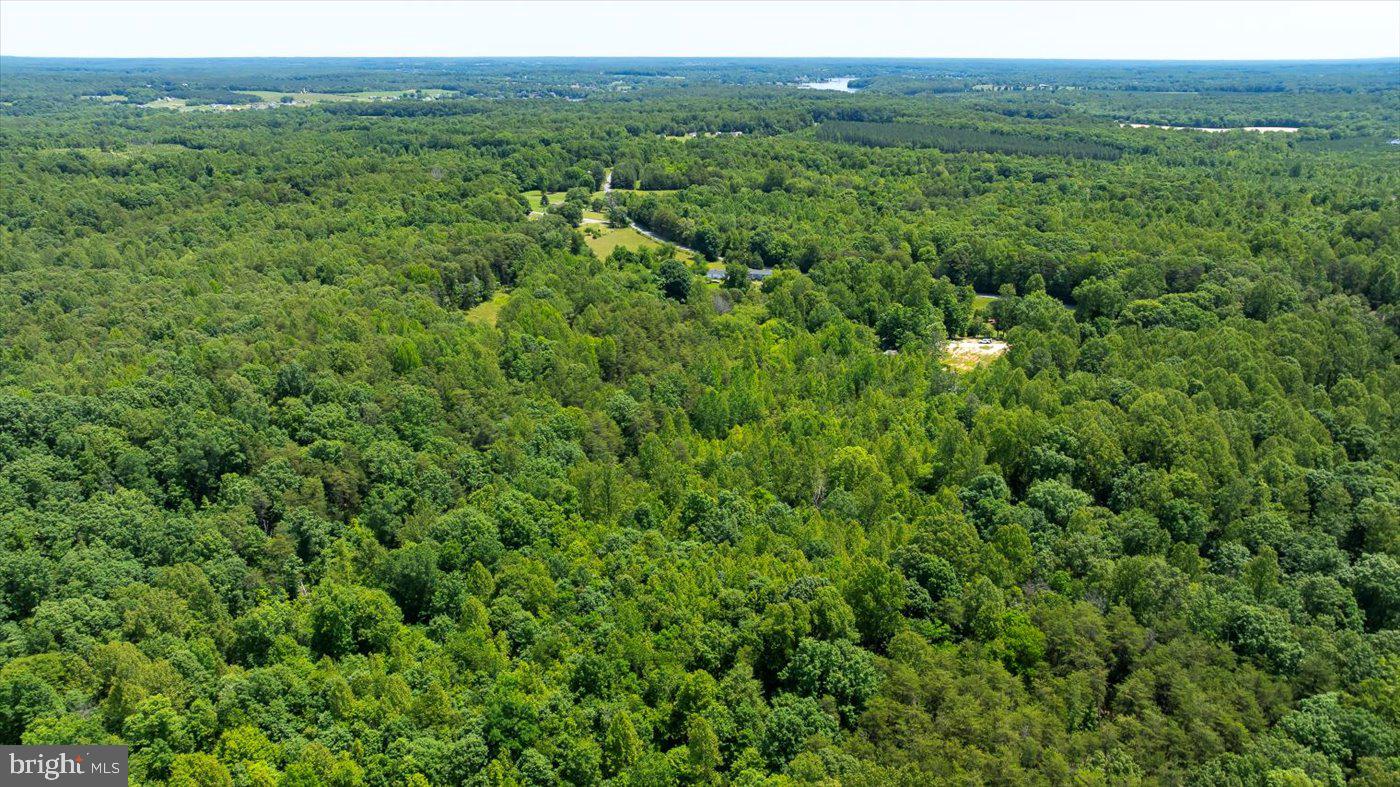 PEACH GROVE ROAD, LOUISA, Virginia 23093, ,Land,For sale,PEACH GROVE ROAD,VALA2007974 MLS # VALA2007974