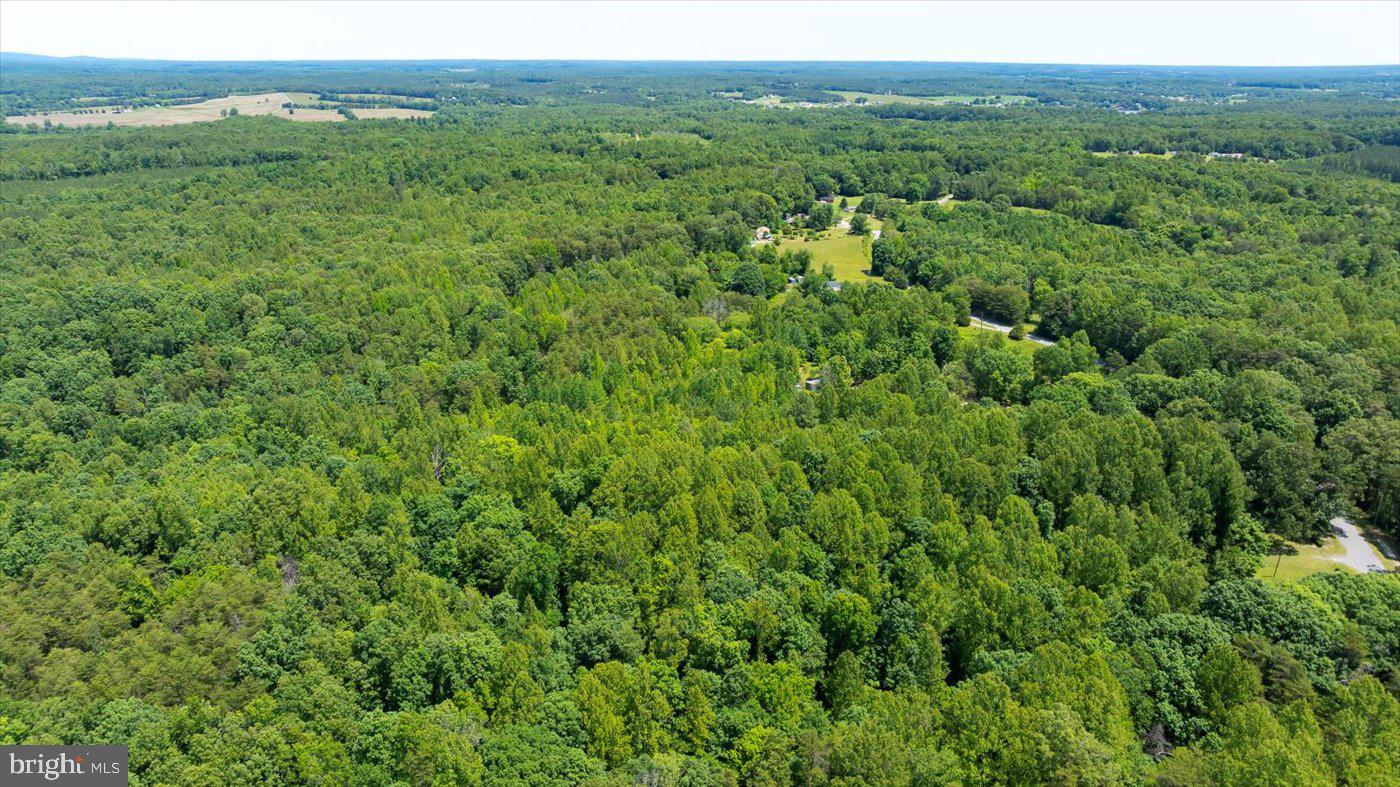 PEACH GROVE ROAD, LOUISA, Virginia 23093, ,Land,For sale,PEACH GROVE ROAD,VALA2007974 MLS # VALA2007974