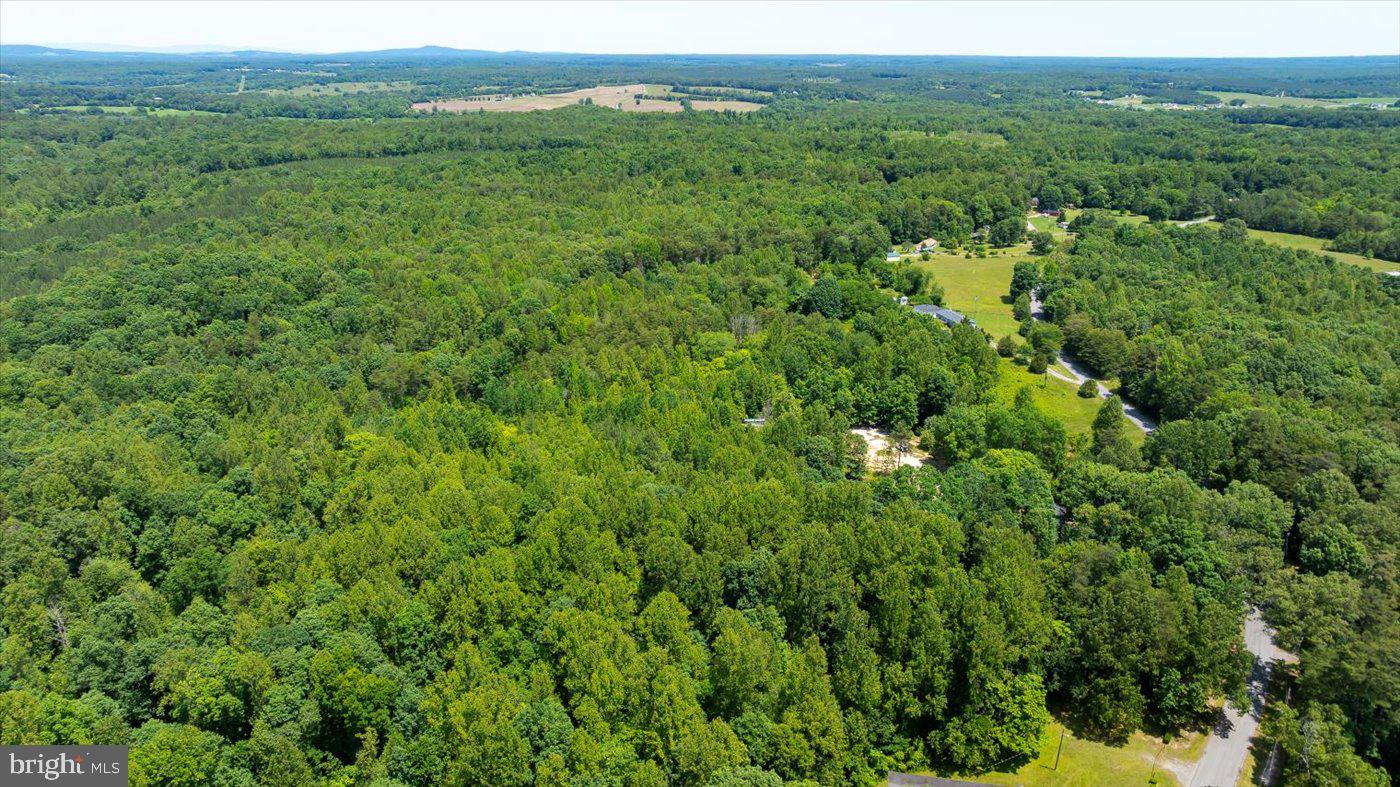 PEACH GROVE ROAD, LOUISA, Virginia 23093, ,Land,For sale,PEACH GROVE ROAD,VALA2007974 MLS # VALA2007974