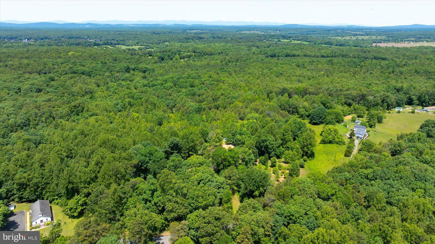 PEACH GROVE ROAD, LOUISA, Virginia 23093, ,Land,For sale,PEACH GROVE ROAD,VALA2007974 MLS # VALA2007974