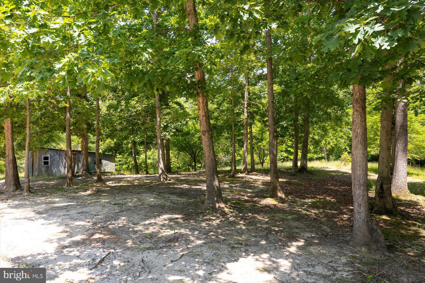 PEACH GROVE ROAD, LOUISA, Virginia 23093, ,Land,For sale,PEACH GROVE ROAD,VALA2007974 MLS # VALA2007974