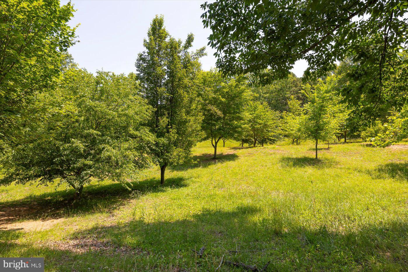 PEACH GROVE ROAD, LOUISA, Virginia 23093, ,Land,For sale,PEACH GROVE ROAD,VALA2007974 MLS # VALA2007974