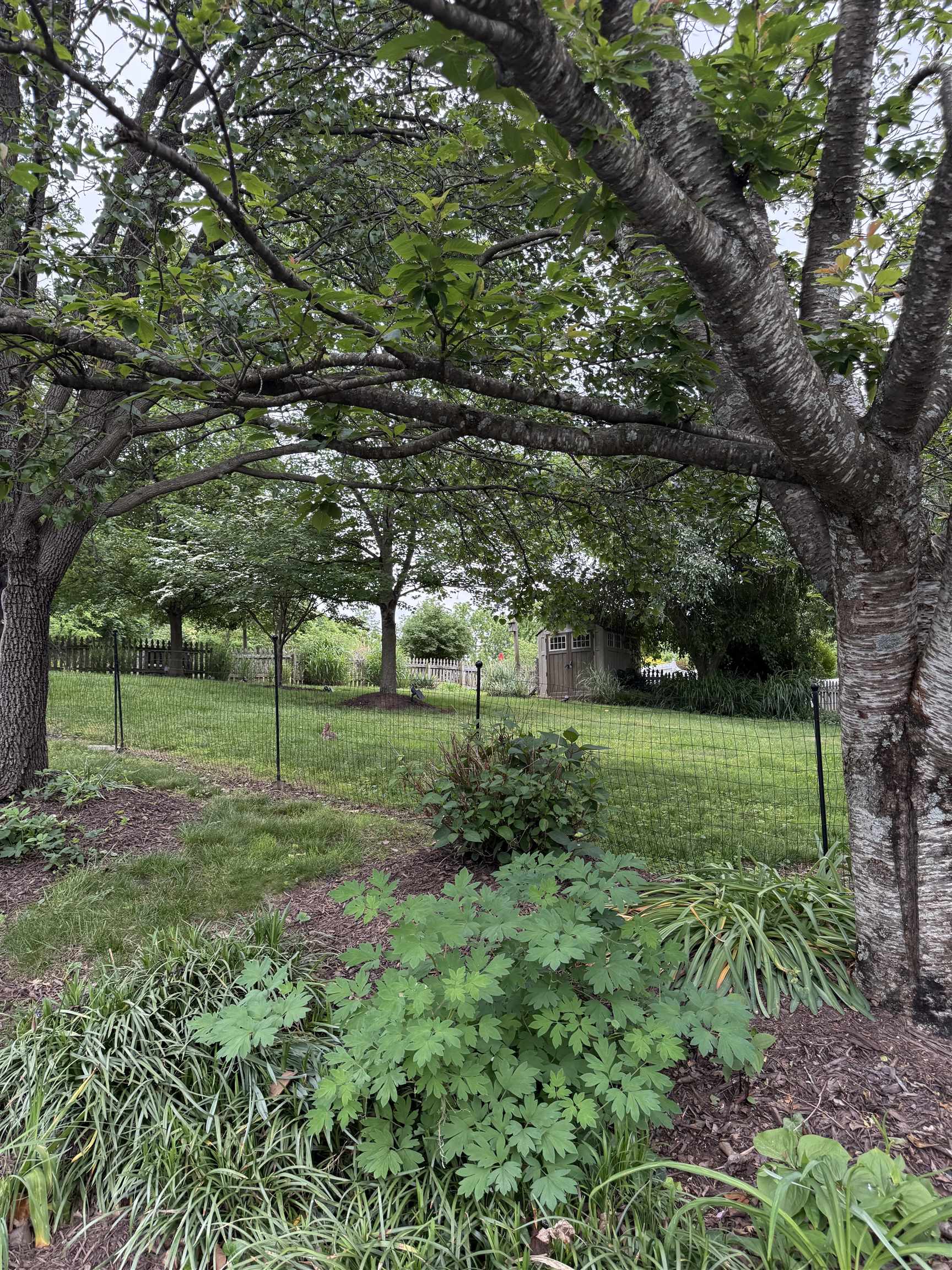 228 HENDREN AVE, STAUNTON, Virginia 24401, 3 Bedrooms Bedrooms, ,2 BathroomsBathrooms,Residential,228 HENDREN AVE,664873 MLS # 664873