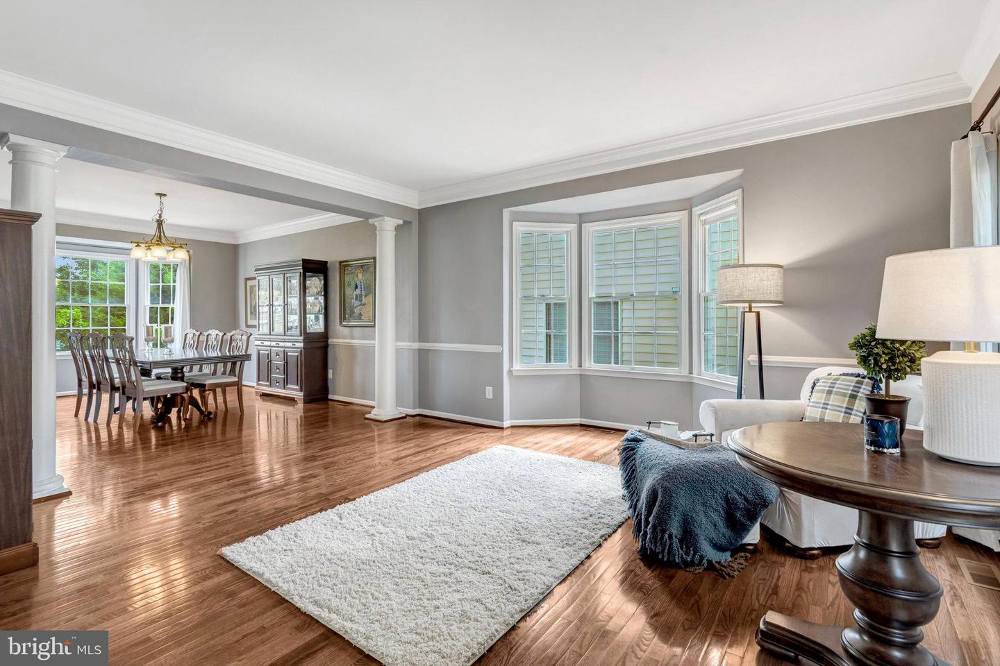 43058 OLIVE TREE LN, CHANTILLY, Virginia 20152, 4 Bedrooms Bedrooms, ,3 BathroomsBathrooms,Residential,For sale,43058 OLIVE TREE LN,VALO2096208 MLS # VALO2096208
