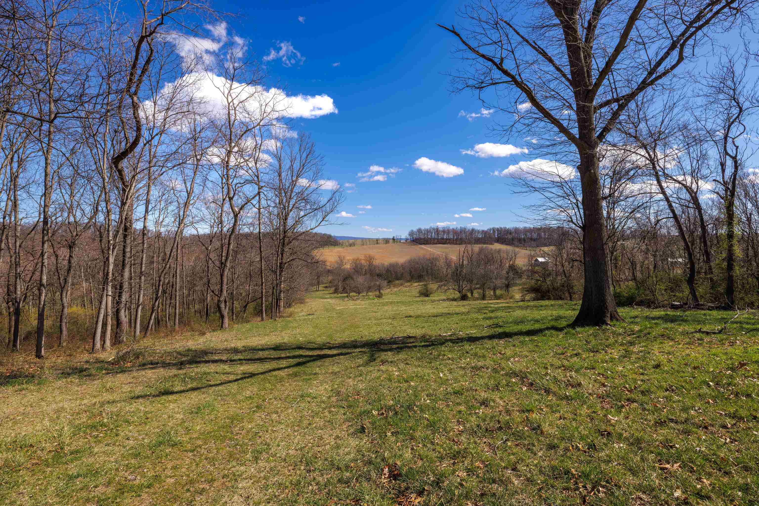 HOLMAN CREEK LN, TIMBERVILLE, Virginia 22853, ,Land,HOLMAN CREEK LN,662468 MLS # 662468