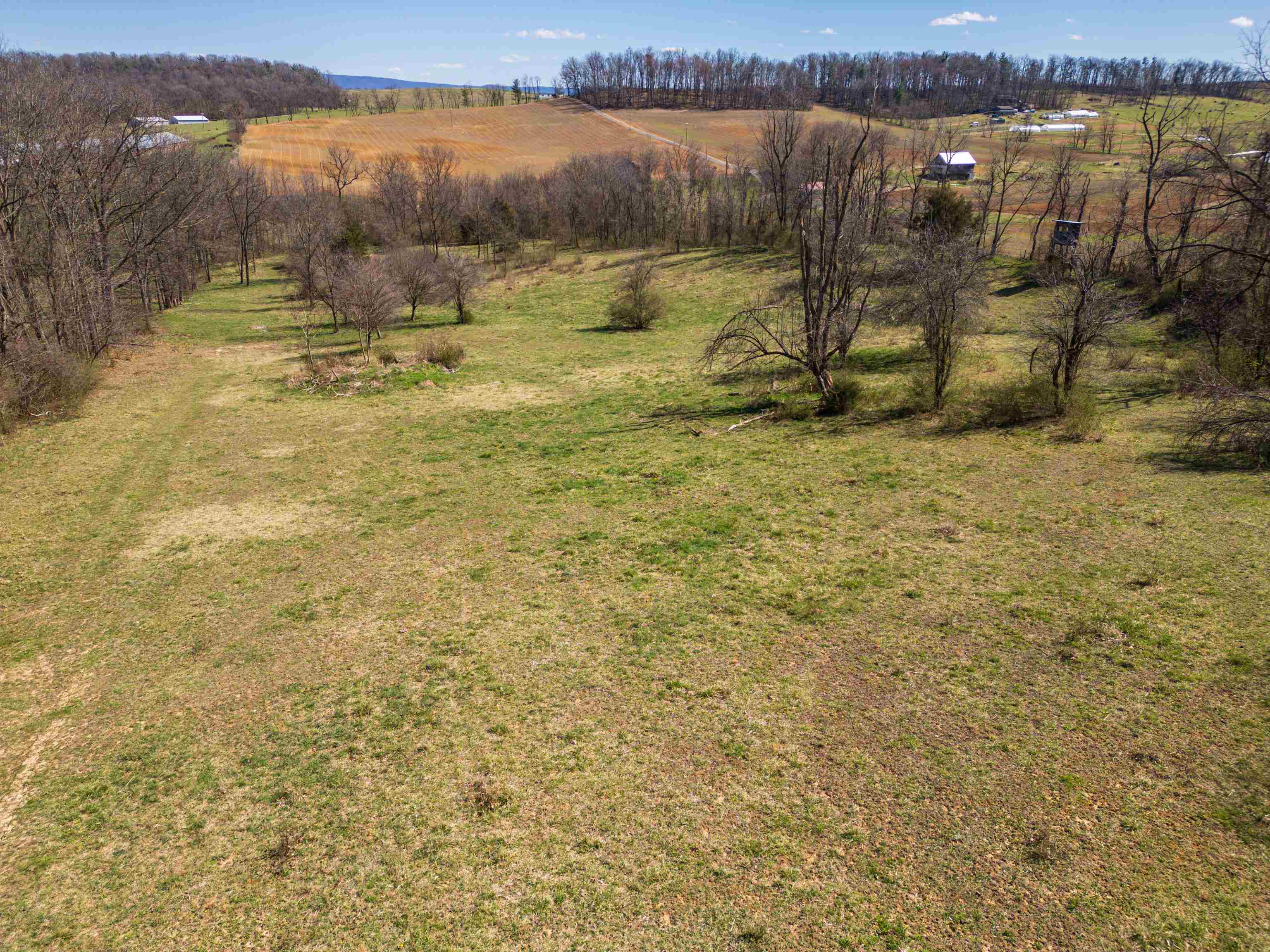HOLMAN CREEK LN, TIMBERVILLE, Virginia 22853, ,Land,HOLMAN CREEK LN,662468 MLS # 662468