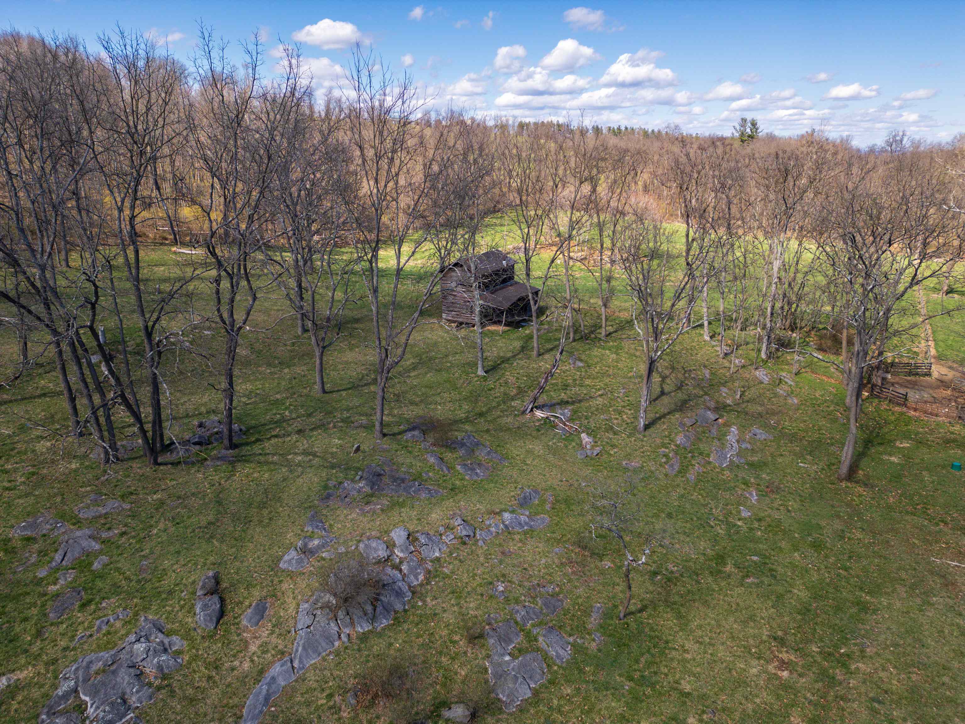 HOLMAN CREEK LN, TIMBERVILLE, Virginia 22853, ,Land,HOLMAN CREEK LN,662468 MLS # 662468