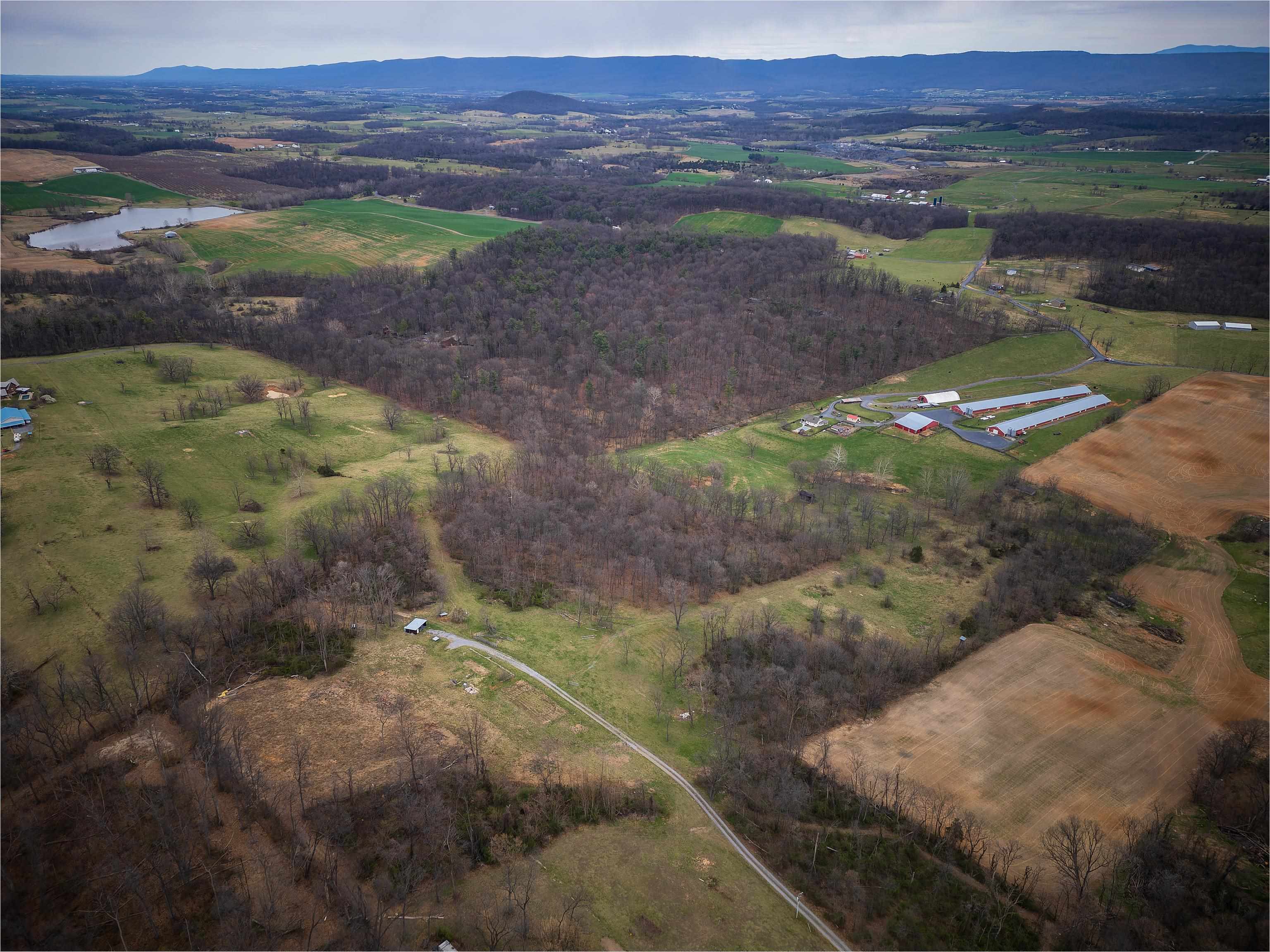 HOLMAN CREEK LN, TIMBERVILLE, Virginia 22853, ,Land,HOLMAN CREEK LN,662468 MLS # 662468