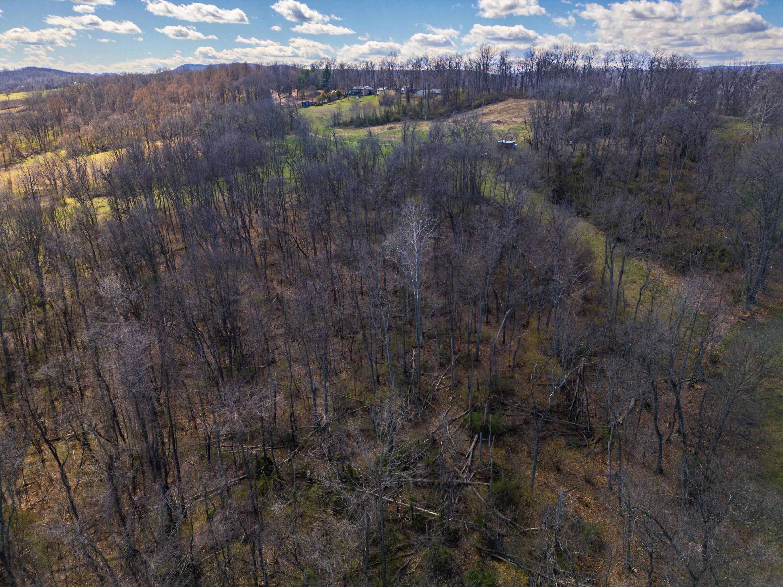 HOLMAN CREEK LN, TIMBERVILLE, Virginia 22853, ,Land,HOLMAN CREEK LN,662468 MLS # 662468