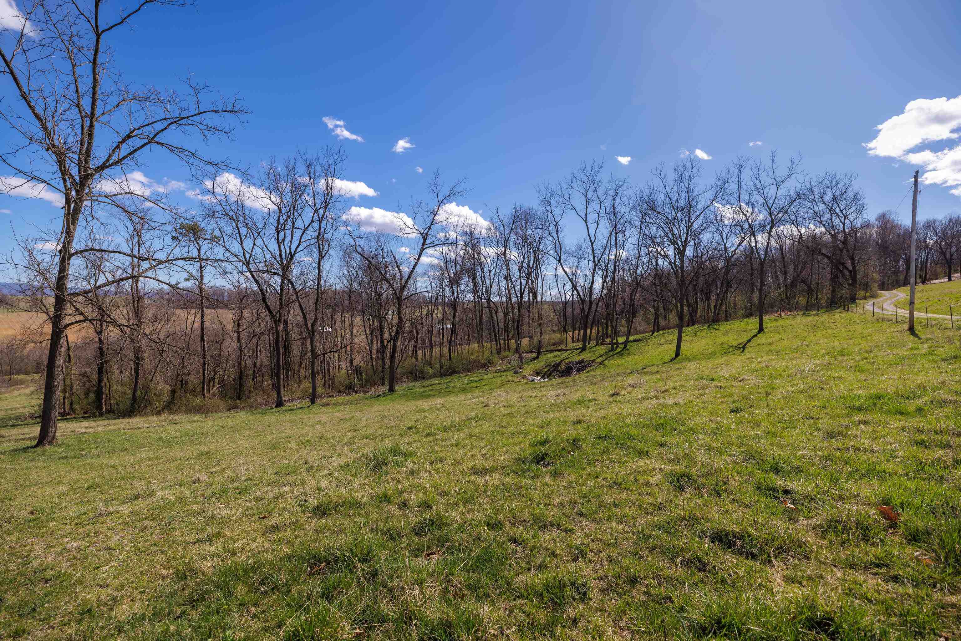 HOLMAN CREEK LN, TIMBERVILLE, Virginia 22853, ,Land,HOLMAN CREEK LN,662468 MLS # 662468