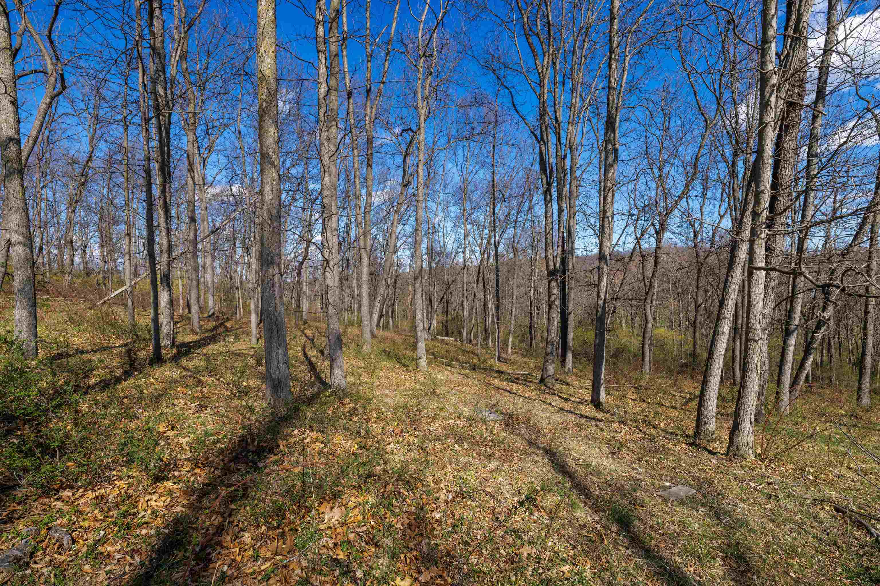 HOLMAN CREEK LN, TIMBERVILLE, Virginia 22853, ,Land,HOLMAN CREEK LN,662468 MLS # 662468