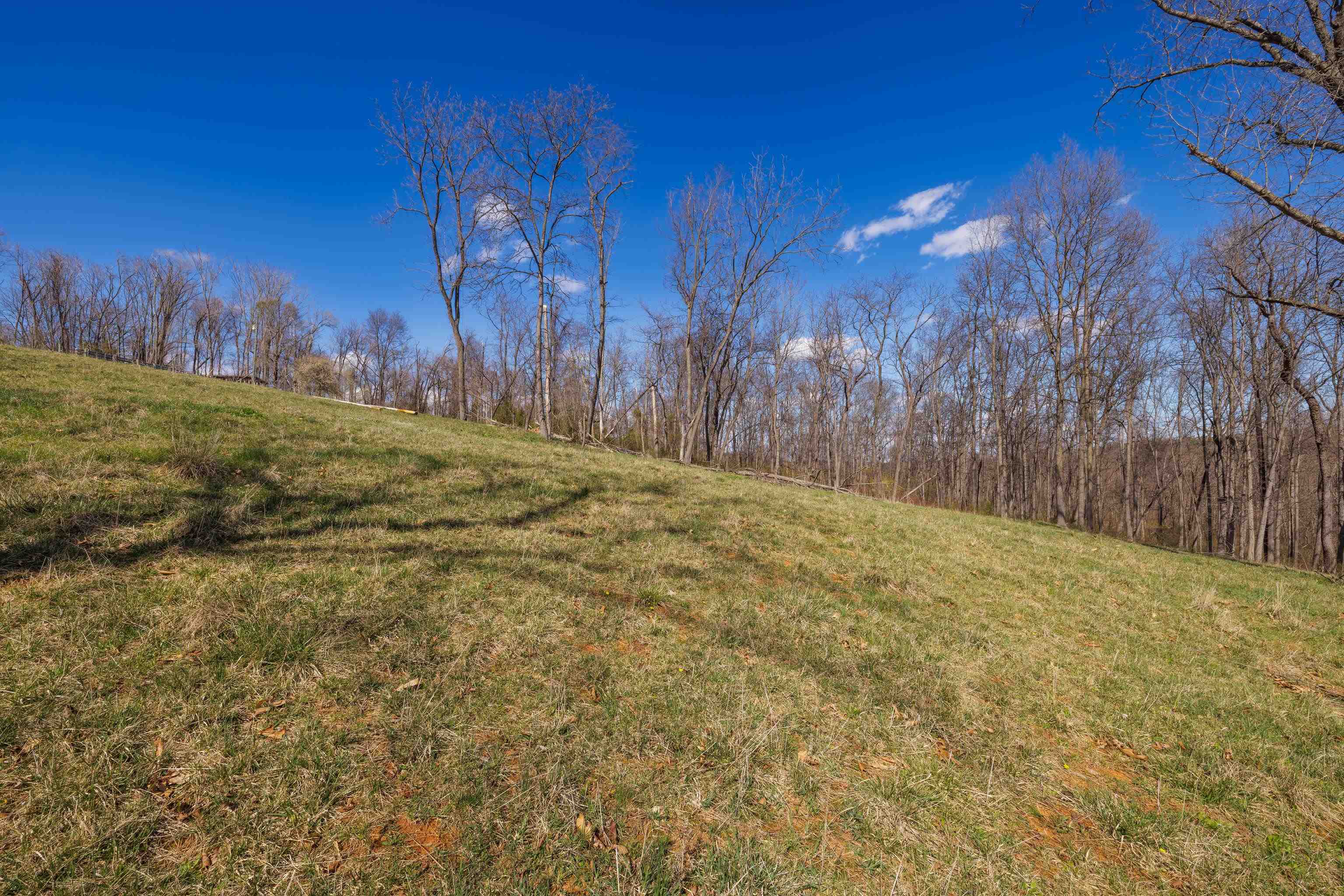 HOLMAN CREEK LN, TIMBERVILLE, Virginia 22853, ,Land,HOLMAN CREEK LN,662468 MLS # 662468