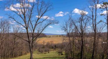 HOLMAN CREEK LN, TIMBERVILLE, Virginia 22853, ,Land,HOLMAN CREEK LN,662468 MLS # 662468