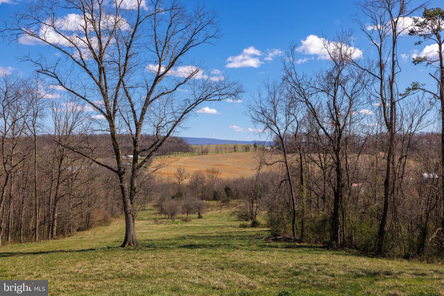 0 HOLMAN CREEK LN, TIMBERVILLE, Virginia 22853, ,Land,For sale,0 HOLMAN CREEK LN,VASH2011020 MLS # VASH2011020