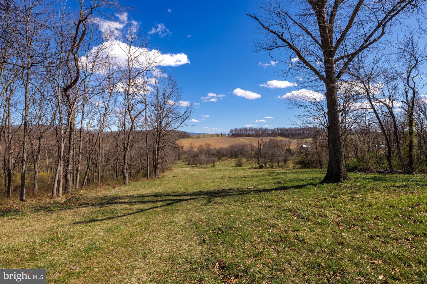 0 HOLMAN CREEK LN, TIMBERVILLE, Virginia 22853, ,Land,For sale,0 HOLMAN CREEK LN,VASH2011020 MLS # VASH2011020