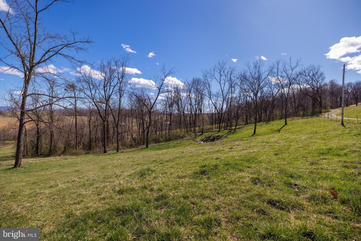 0 HOLMAN CREEK LN, TIMBERVILLE, Virginia 22853, ,Land,For sale,0 HOLMAN CREEK LN,VASH2011020 MLS # VASH2011020