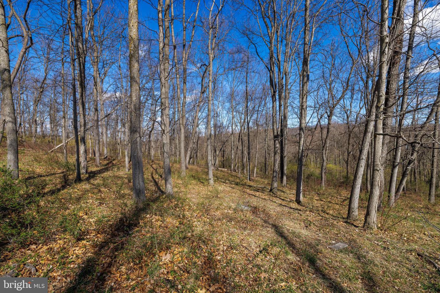 0 HOLMAN CREEK LN, TIMBERVILLE, Virginia 22853, ,Land,For sale,0 HOLMAN CREEK LN,VASH2011020 MLS # VASH2011020