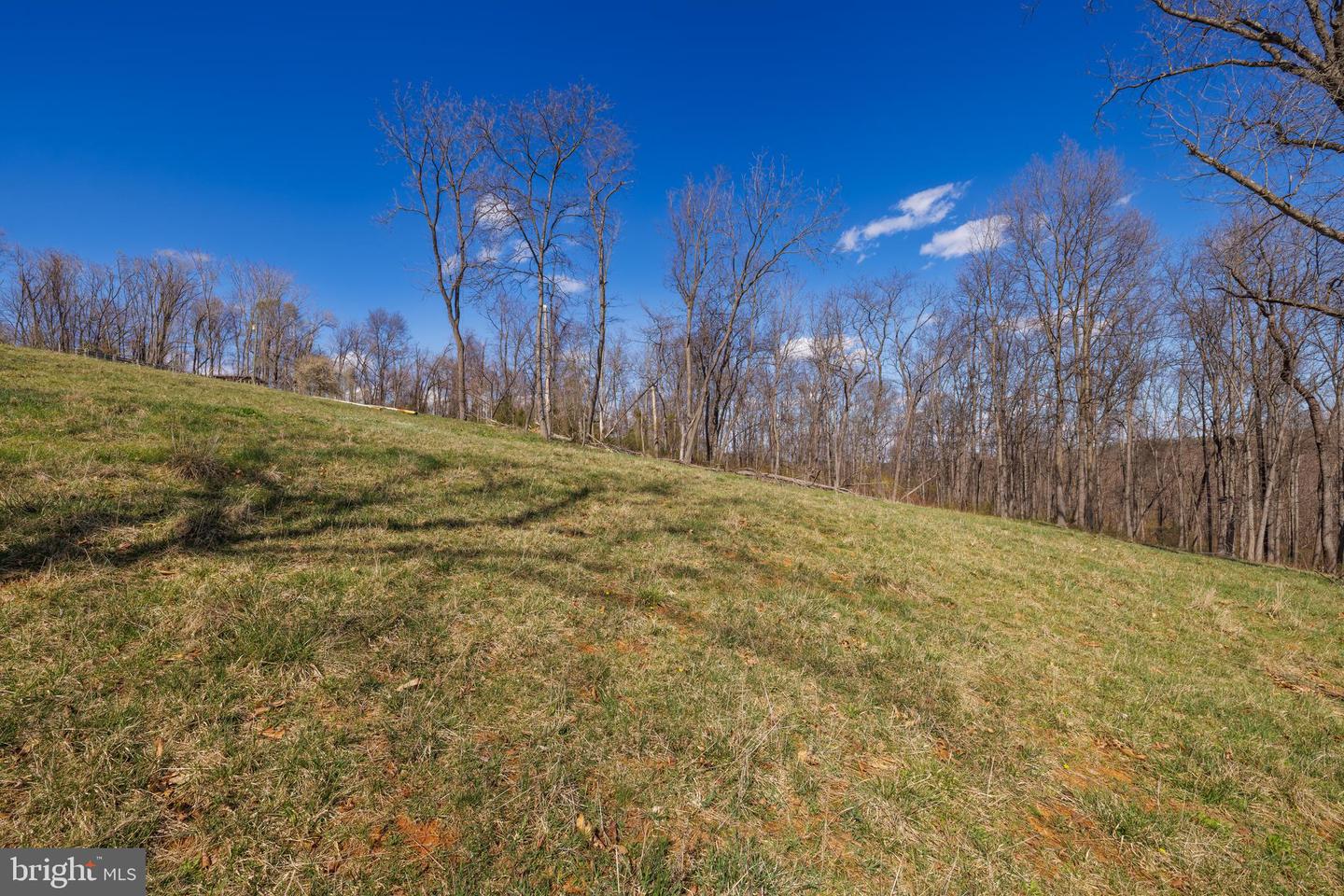 0 HOLMAN CREEK LN, TIMBERVILLE, Virginia 22853, ,Land,For sale,0 HOLMAN CREEK LN,VASH2011020 MLS # VASH2011020