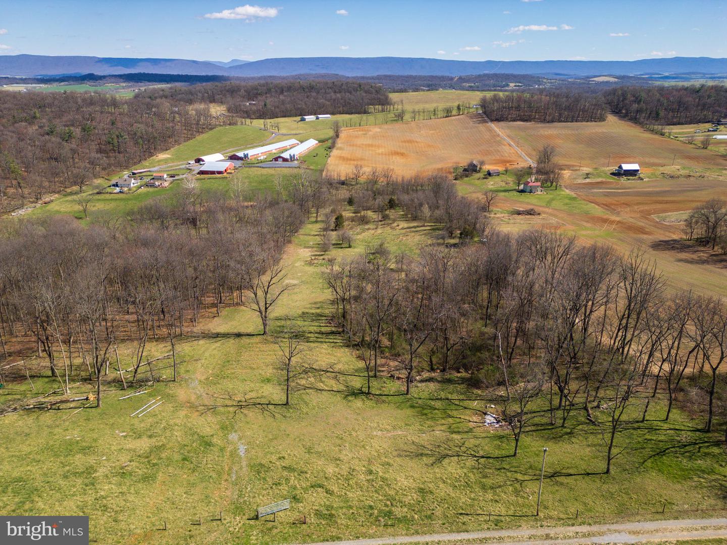 0 HOLMAN CREEK LN, TIMBERVILLE, Virginia 22853, ,Land,For sale,0 HOLMAN CREEK LN,VASH2011020 MLS # VASH2011020