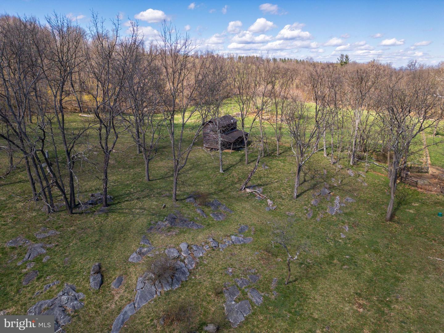 0 HOLMAN CREEK LN, TIMBERVILLE, Virginia 22853, ,Land,For sale,0 HOLMAN CREEK LN,VASH2011020 MLS # VASH2011020