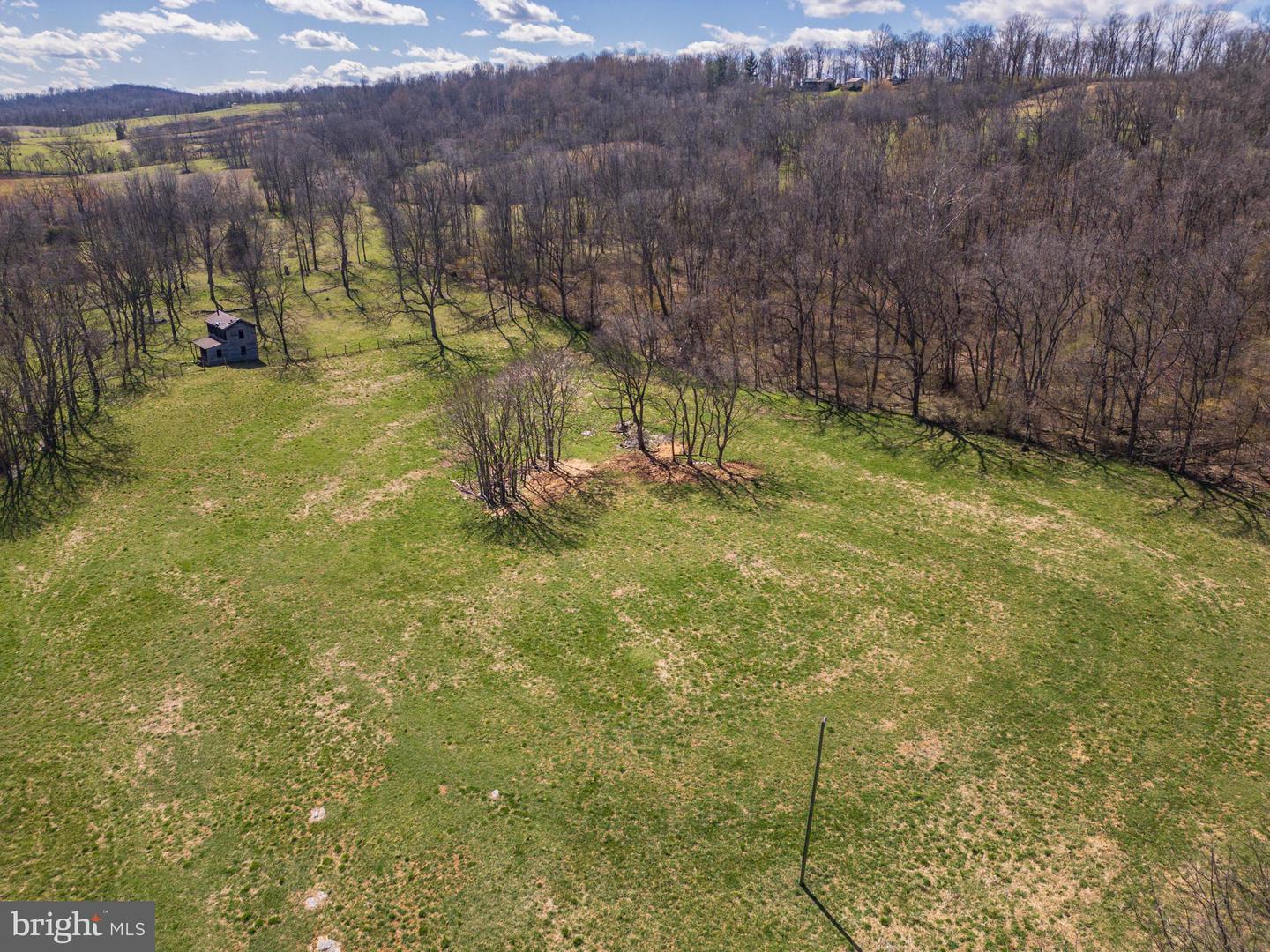 0 HOLMAN CREEK LN, TIMBERVILLE, Virginia 22853, ,Land,For sale,0 HOLMAN CREEK LN,VASH2011020 MLS # VASH2011020