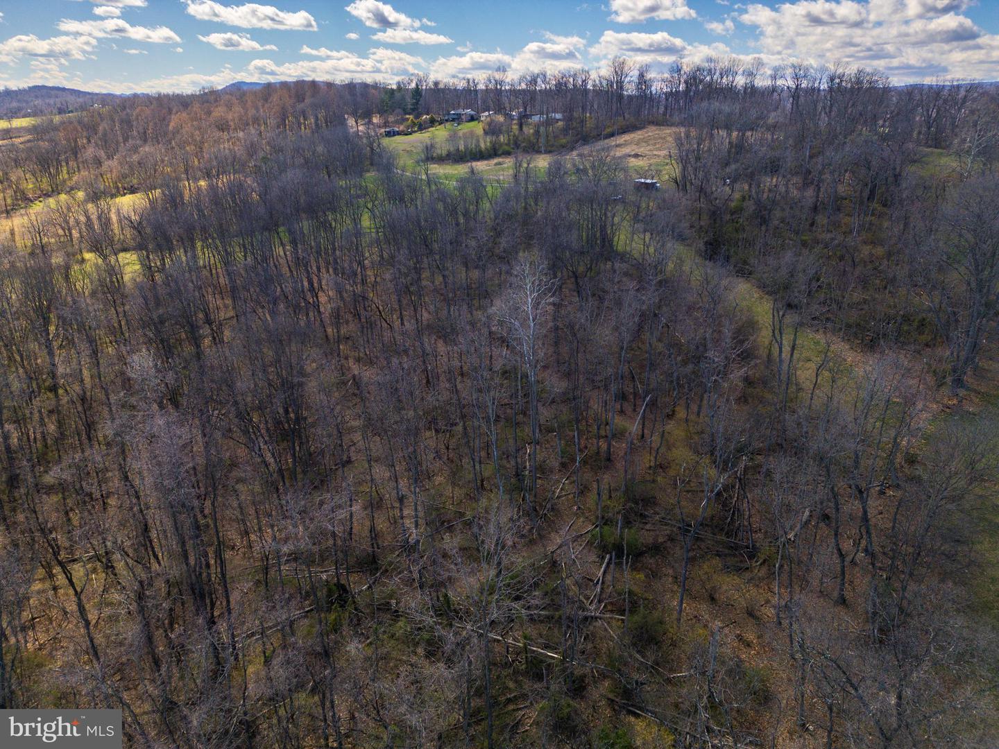 0 HOLMAN CREEK LN, TIMBERVILLE, Virginia 22853, ,Land,For sale,0 HOLMAN CREEK LN,VASH2011020 MLS # VASH2011020