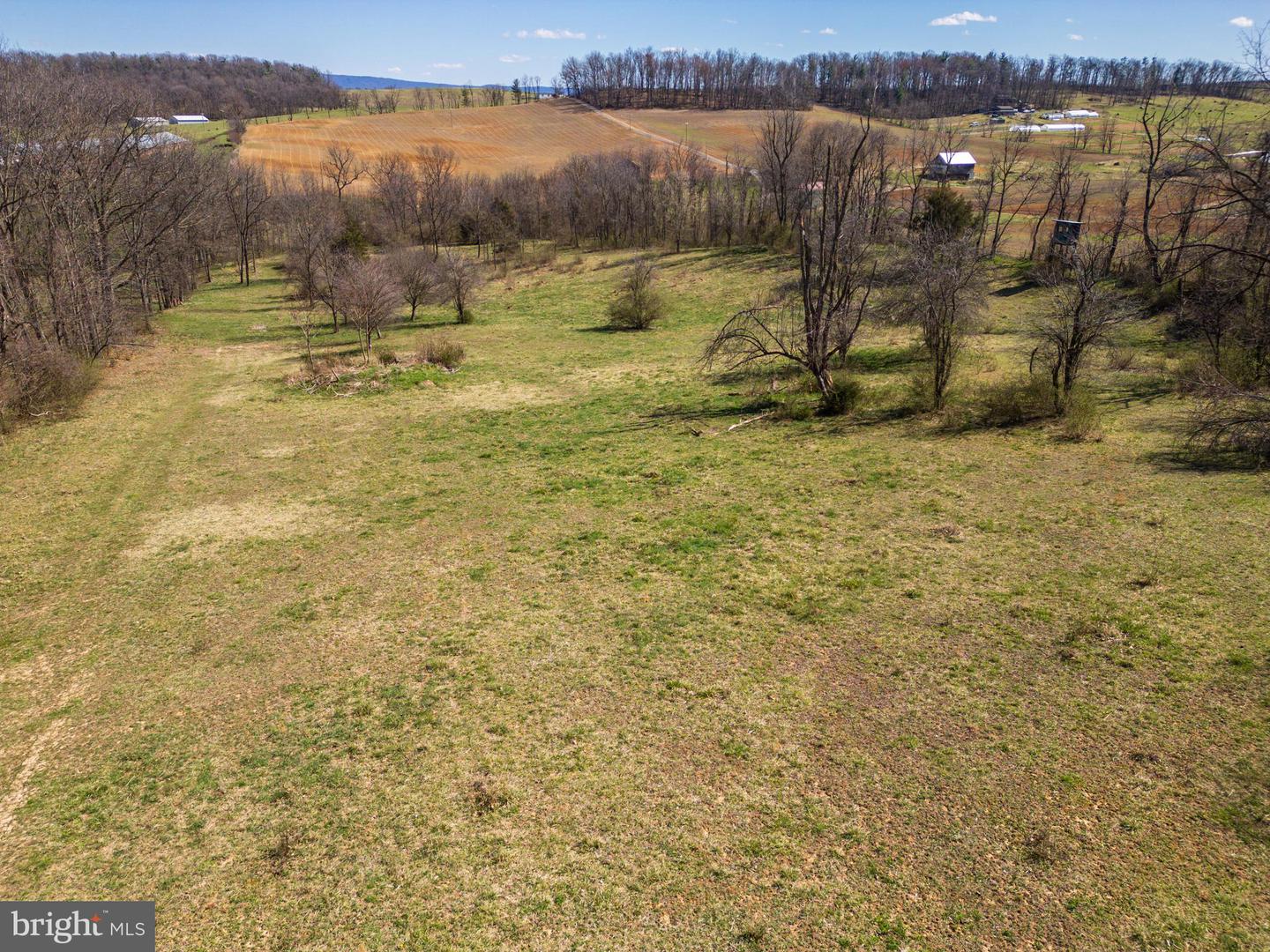 0 HOLMAN CREEK LN, TIMBERVILLE, Virginia 22853, ,Land,For sale,0 HOLMAN CREEK LN,VASH2011020 MLS # VASH2011020