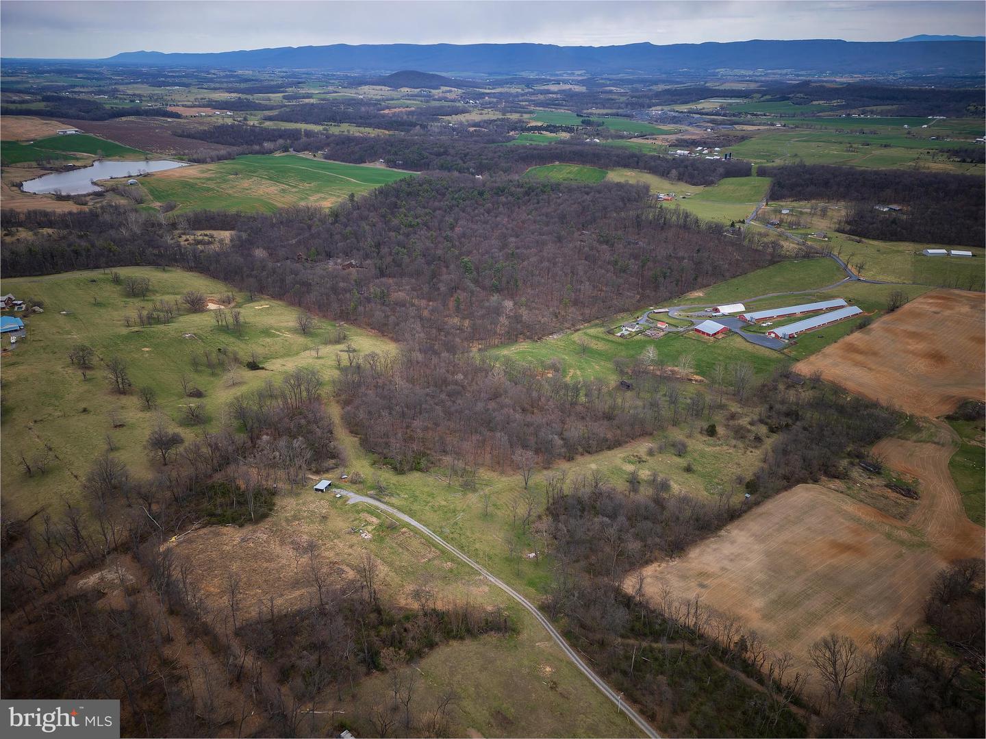 0 HOLMAN CREEK LN, TIMBERVILLE, Virginia 22853, ,Land,For sale,0 HOLMAN CREEK LN,VASH2011020 MLS # VASH2011020