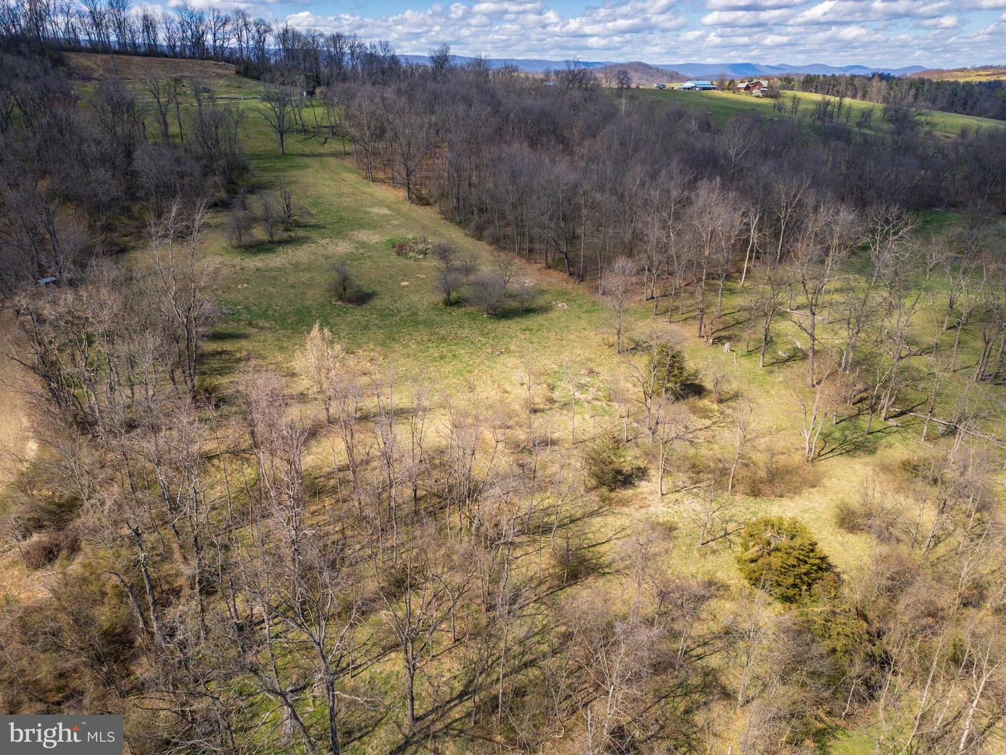 0 HOLMAN CREEK LN, TIMBERVILLE, Virginia 22853, ,Land,For sale,0 HOLMAN CREEK LN,VASH2011020 MLS # VASH2011020