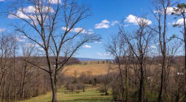 0 HOLMAN CREEK LN, TIMBERVILLE, Virginia 22853, ,Land,For sale,0 HOLMAN CREEK LN,VASH2011020 MLS # VASH2011020