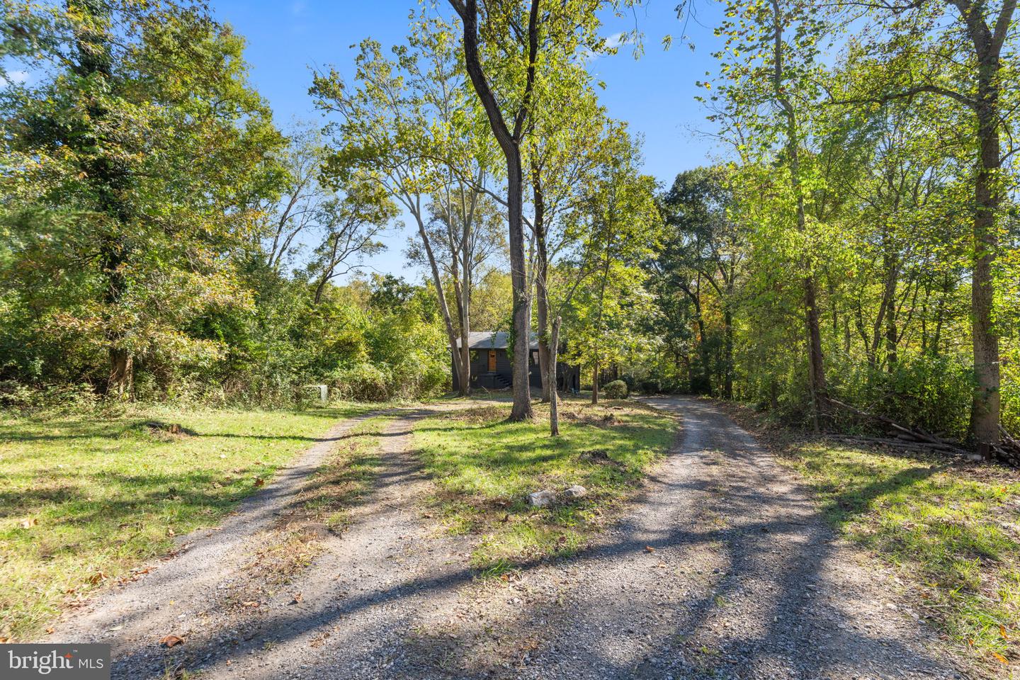 11332 DUTCHMANS CREEK RD, LOVETTSVILLE, Virginia 20180, ,Farm,For sale,11332 DUTCHMANS CREEK RD,VALO2098828 MLS # VALO2098828