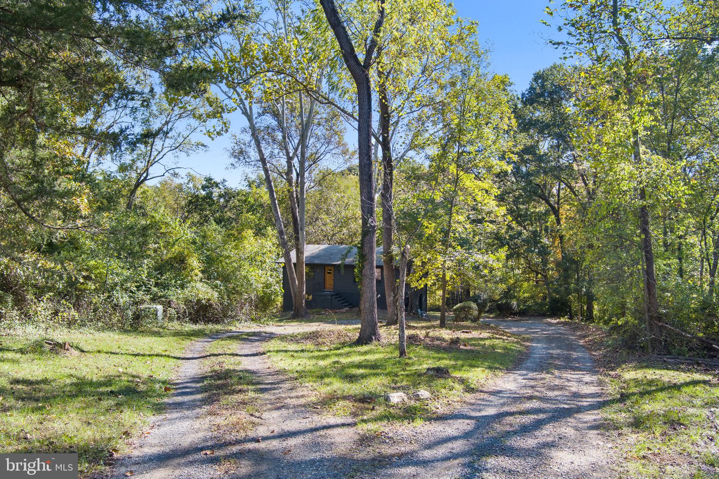 11332 DUTCHMANS CREEK RD, LOVETTSVILLE, Virginia 20180, ,Farm,For sale,11332 DUTCHMANS CREEK RD,VALO2098828 MLS # VALO2098828