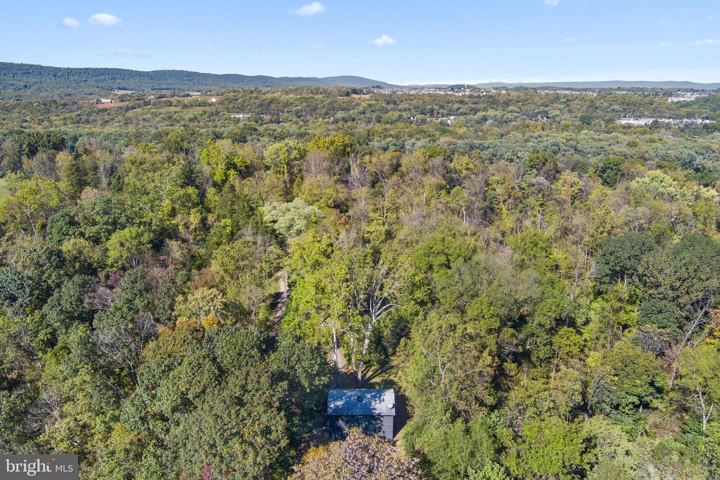 11332 DUTCHMANS CREEK RD, LOVETTSVILLE, Virginia 20180, ,Farm,For sale,11332 DUTCHMANS CREEK RD,VALO2098828 MLS # VALO2098828